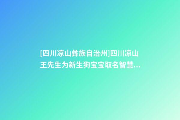 [四川凉山彝族自治州]四川凉山王先生为新生狗宝宝取名智慧型套餐-第1张-公司起名-玄机派